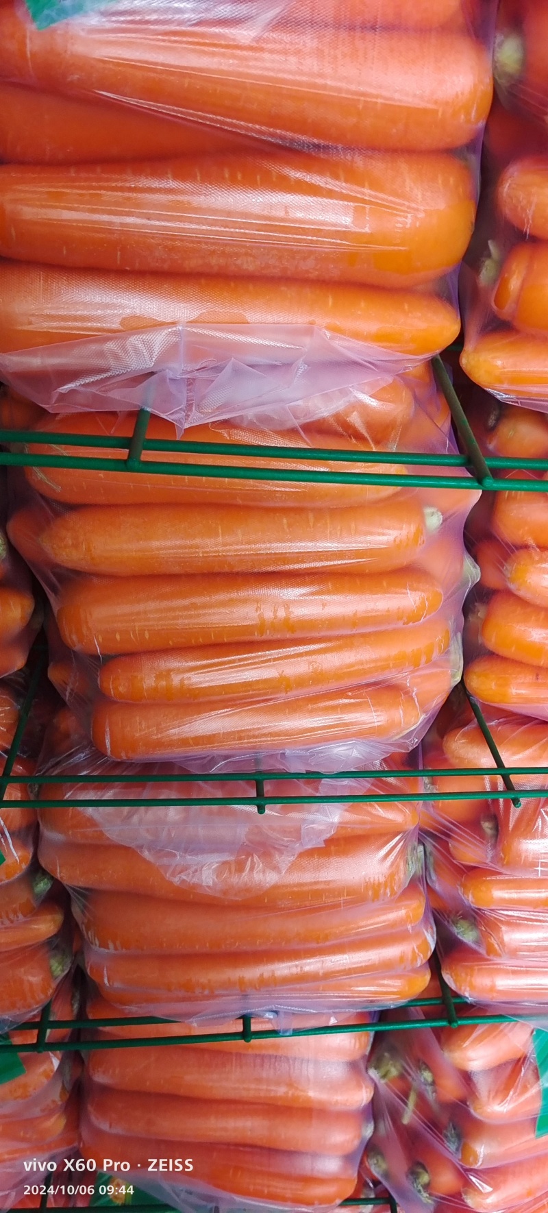 河南开封精品胡萝卜