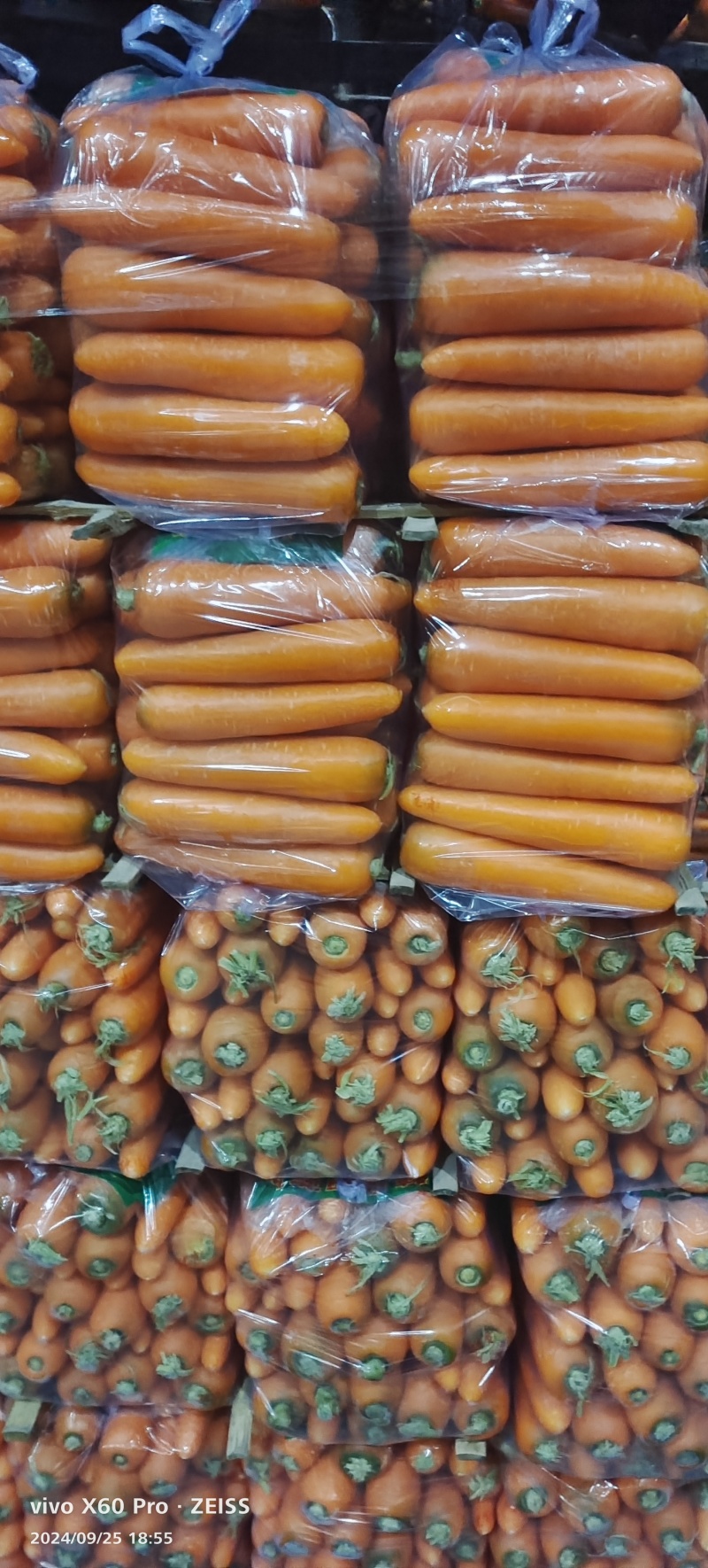 河南开封精品胡萝卜