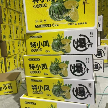 精品特小凤3-6斤糖度12-13精品货包上车