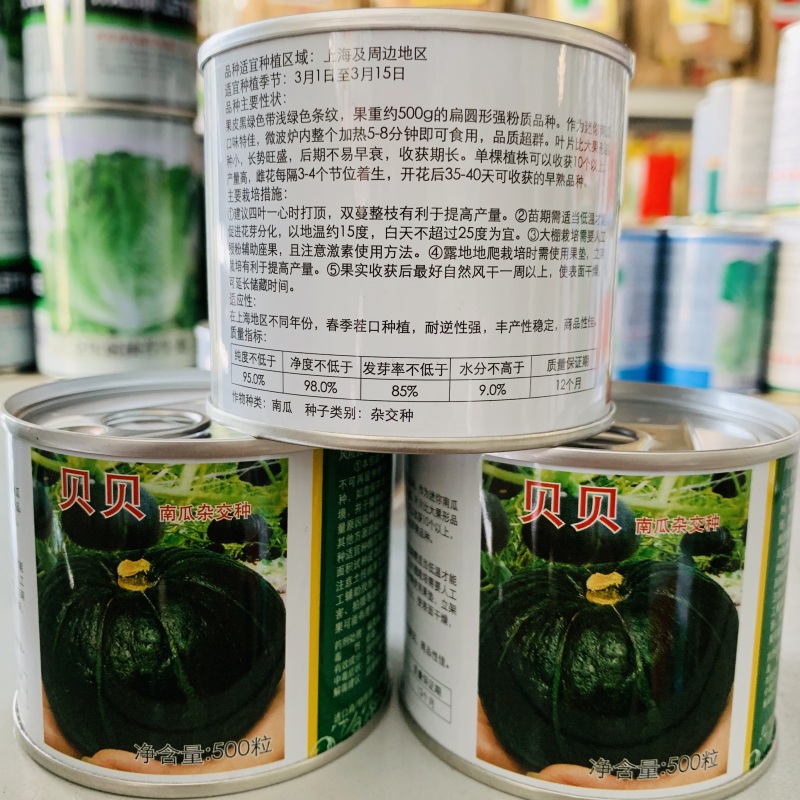 正宗惠和贝贝南瓜种子粉糯香甜干面贝贝瓜种子产量高