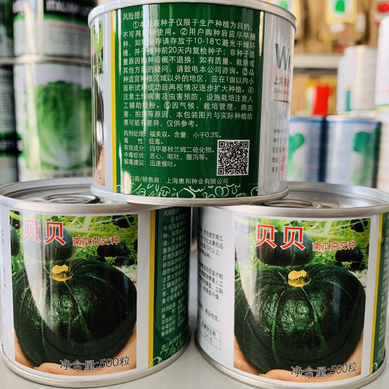 正宗惠和贝贝南瓜种子粉糯香甜干面贝贝瓜种子产量高