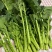 新鲜阳光菜