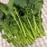 新鲜阳光菜
