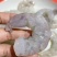 精品虾仁大量供应，货源充足，量大从优，新鲜发货