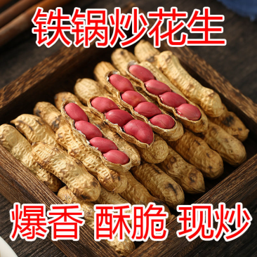 炒四粒红铁锅柴火花生原味炒花生炒熟红皮带壳