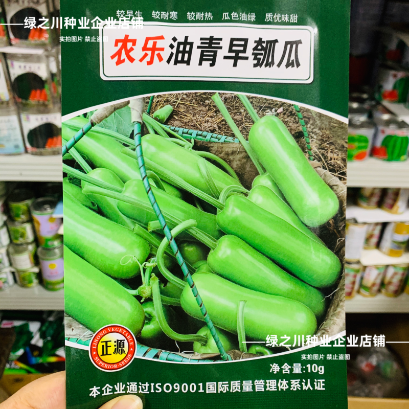 正源短棒瓠子种子农乐油青早瓠瓜种子油绿清香蒲瓜种籽菜葫芦