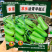 正源短棒瓠子种子农乐油青早瓠瓜种子油绿清香蒲瓜种籽菜葫芦