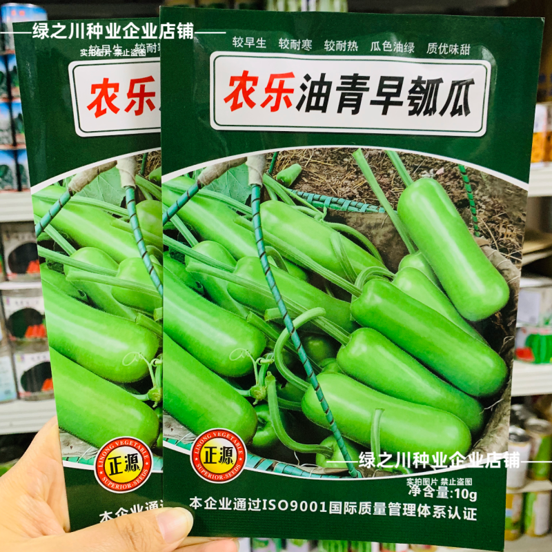 正源短棒瓠子种子农乐油青早瓠瓜种子油绿清香蒲瓜种籽菜葫芦
