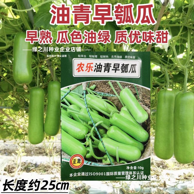 正源短棒瓠子种子农乐油青早瓠瓜种子油绿清香蒲瓜种籽菜葫芦