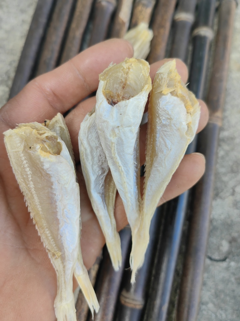 北海红娘鱼六角头咸鱼干