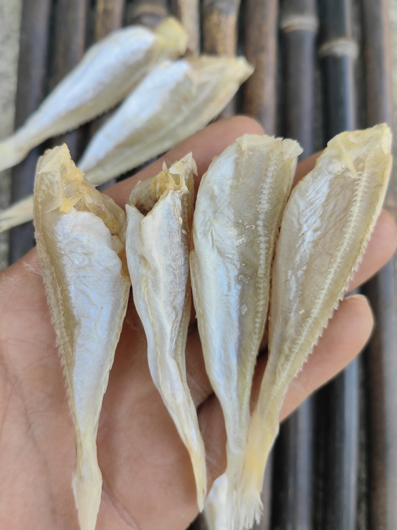 北海红娘鱼六角头咸鱼干