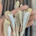 北海红娘鱼六角头咸鱼干