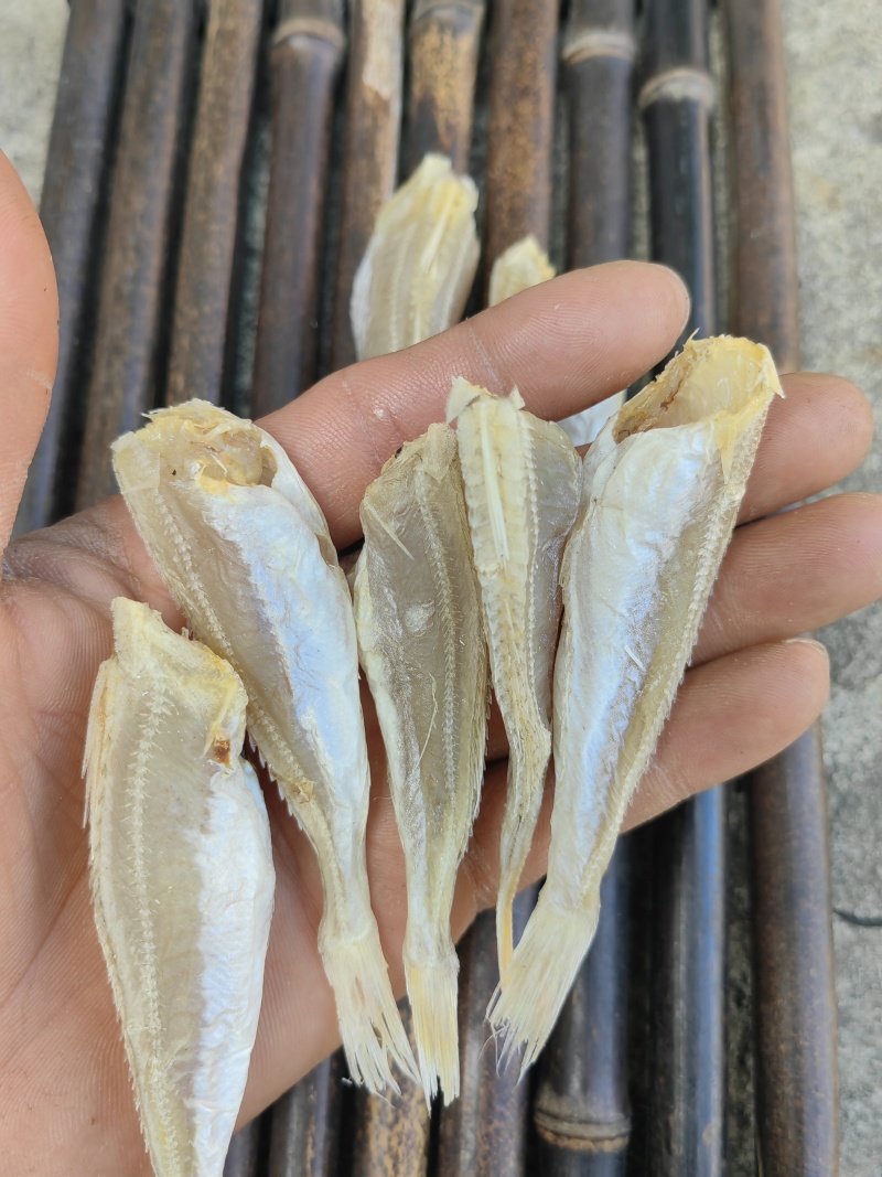 北海红娘鱼六角头咸鱼干