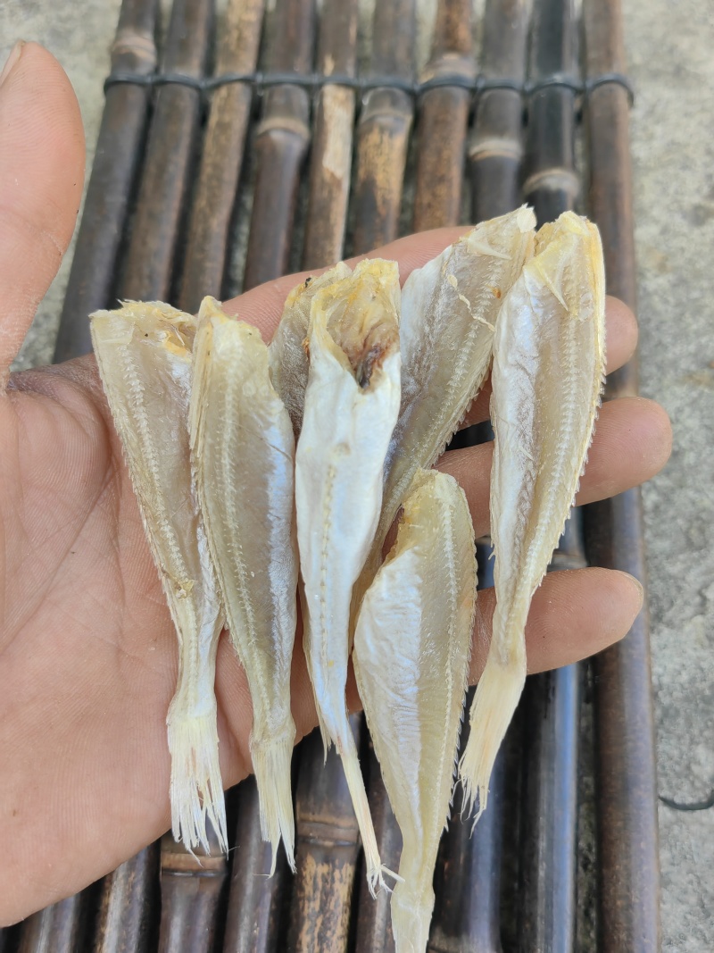 北海红娘鱼六角头咸鱼干