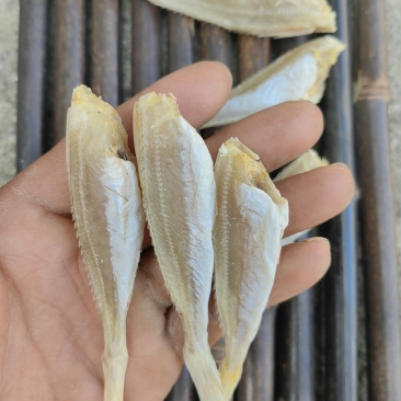 北海红娘鱼六角头咸鱼干