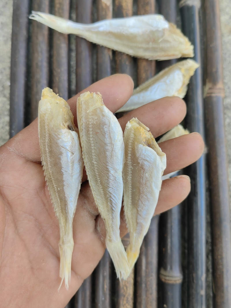 北海红娘鱼六角头咸鱼干