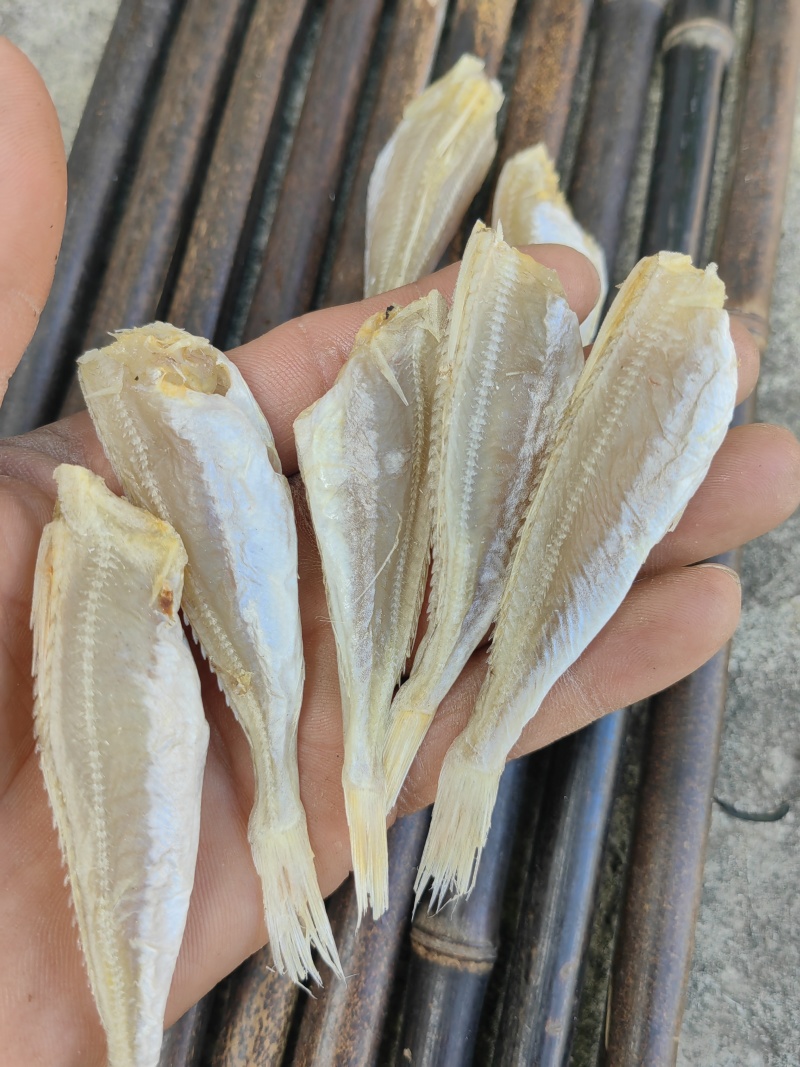 北海红娘鱼六角头咸鱼干