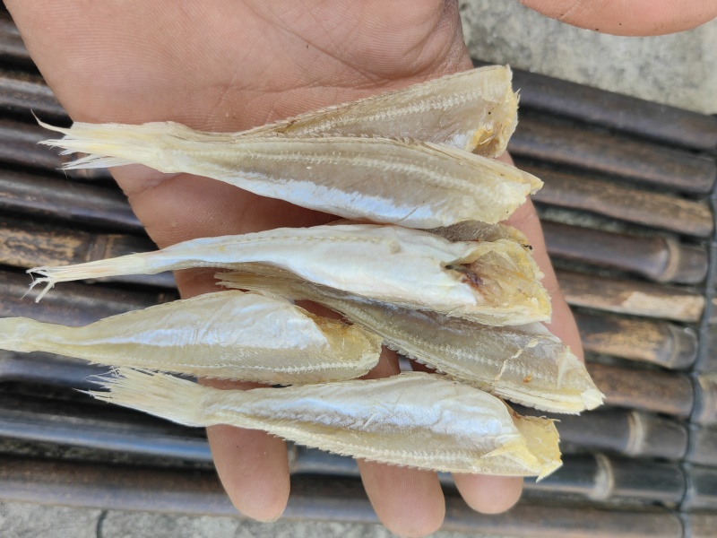 北海红娘鱼六角头咸鱼干