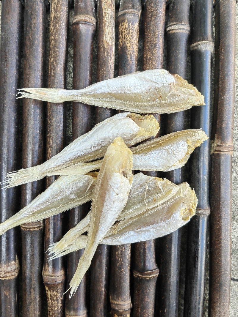 北海红娘鱼六角头咸鱼干