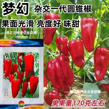 梦幻红甜椒种子圆锥形红椒种子青红两用果面光滑味甜辣椒种子