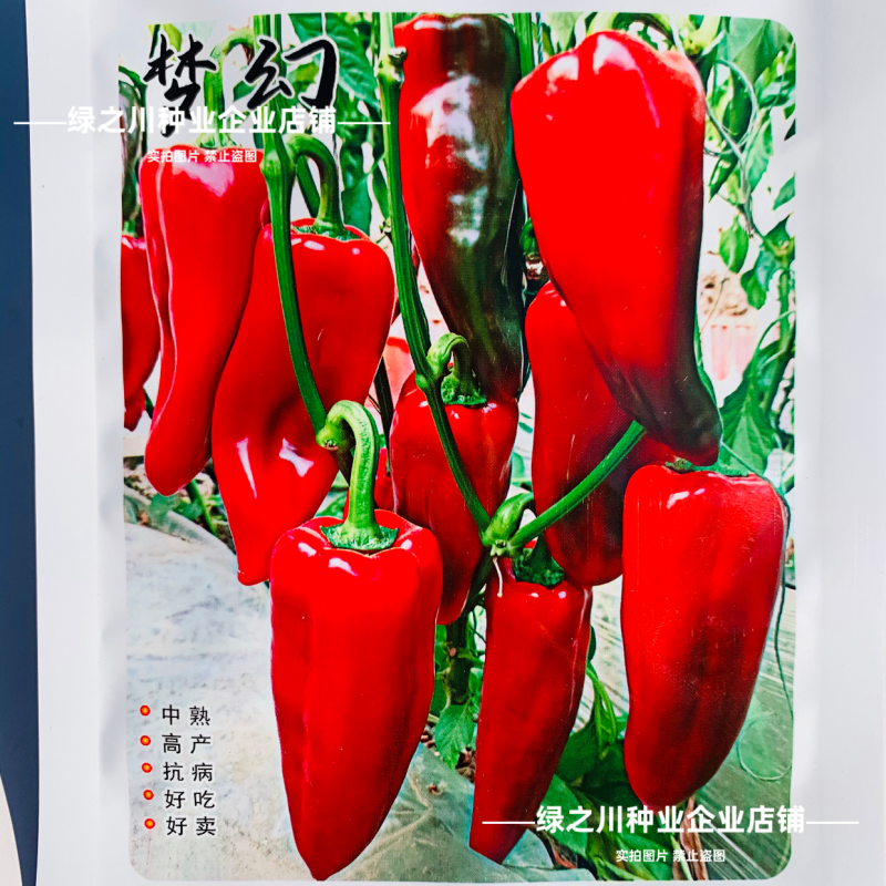 梦幻红甜椒种子圆锥形红椒种子青红两用果面光滑味甜辣椒种子