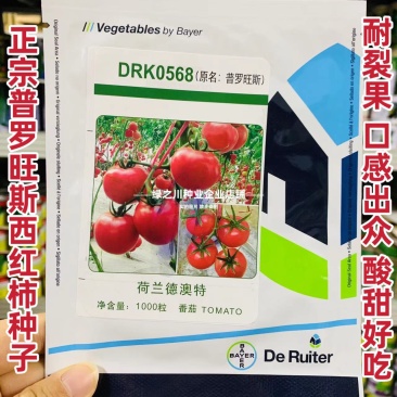 正宗普罗旺斯西红柿种子酸甜好吃耐裂果水果番茄种子粉红番茄