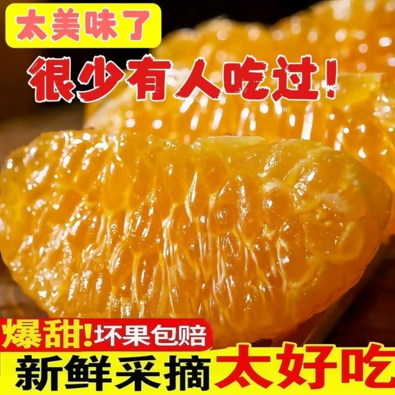 云南高山阳光一号桔柚皮薄多汁新鲜采摘水果