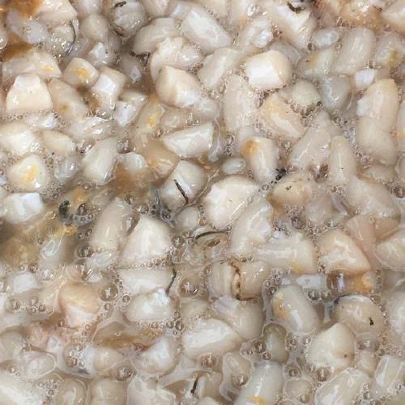 新鲜扇贝丁，原产地一手发货原汁原味，货新鲜，量大优惠，