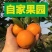 正宗湖南麻阳冰糖橙支持电商一件代发