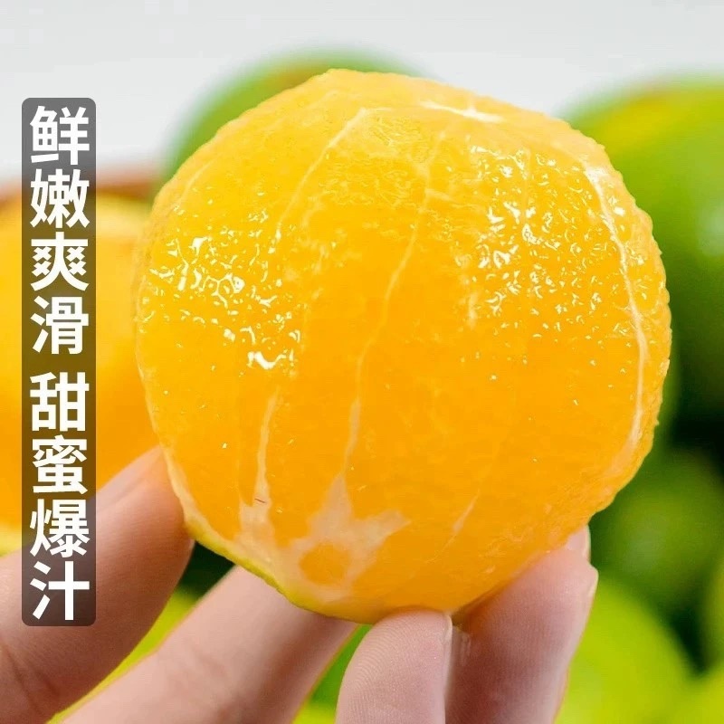 正宗湖南麻阳冰糖橙支持电商一件代发