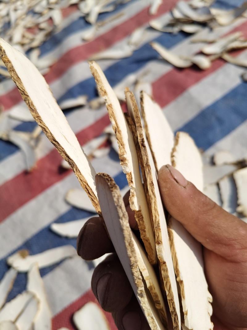 药材城白芷片可以按需求分拣打包全国接单全年有货可来单定制
