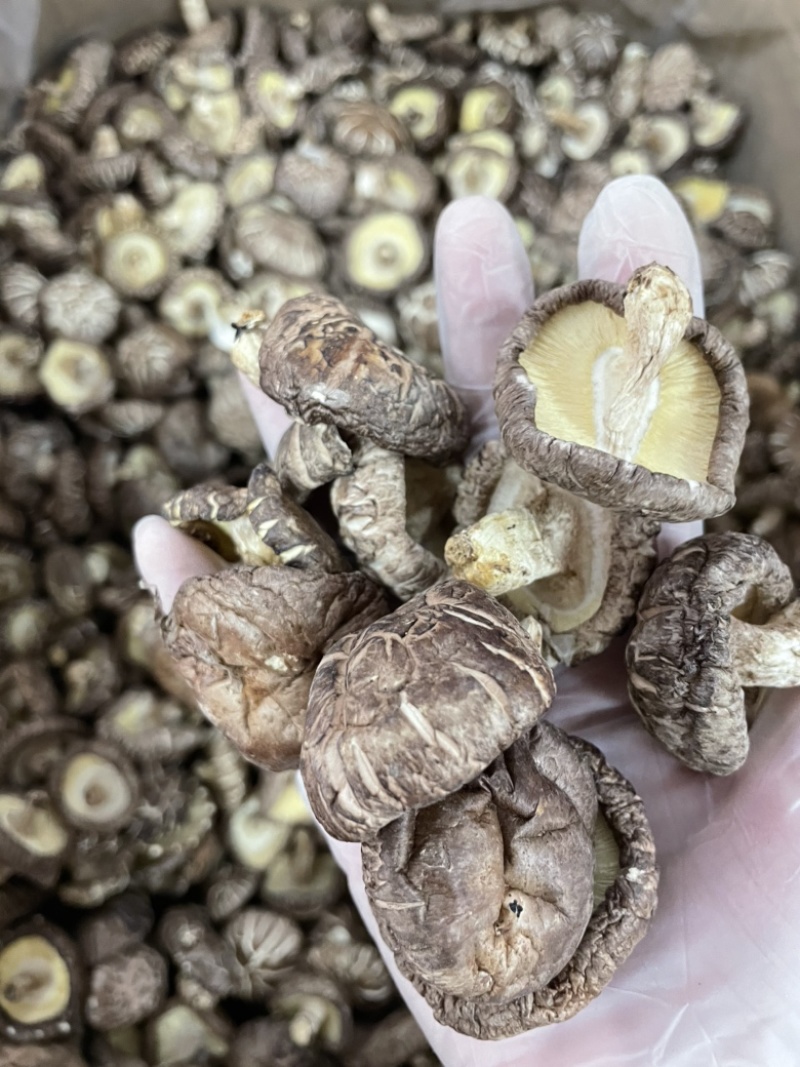 新货直销干冬菇花菇香菇干货肉厚干净椴木菌菇