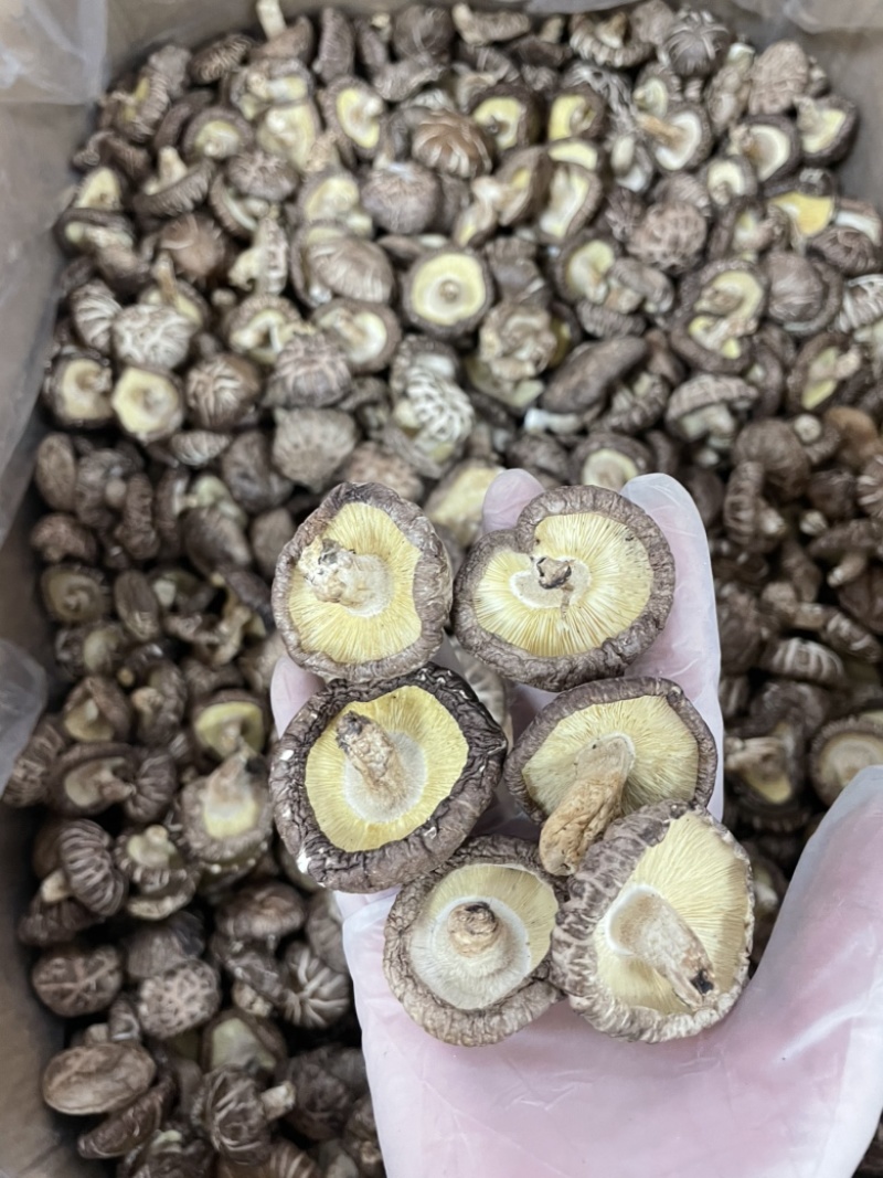 新货直销干冬菇花菇香菇干货肉厚干净椴木菌菇