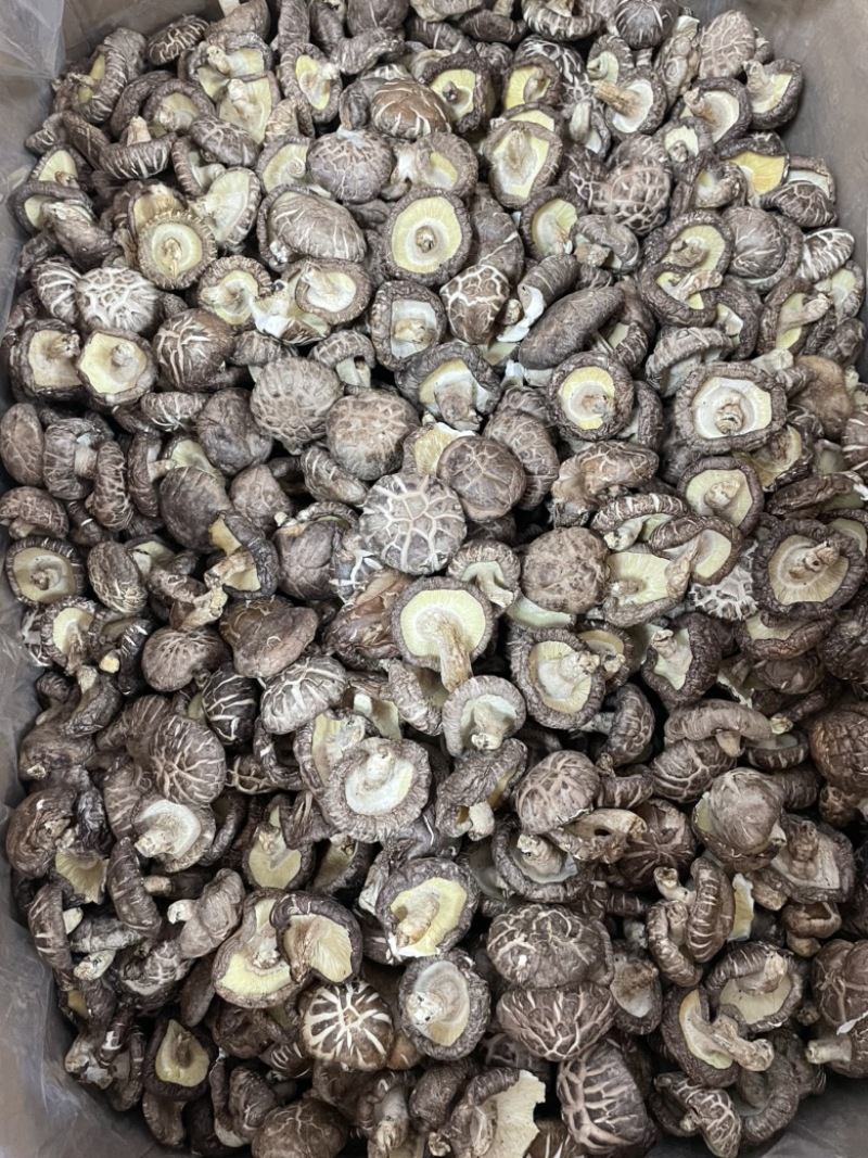 新货直销干冬菇花菇香菇干货肉厚干净椴木菌菇