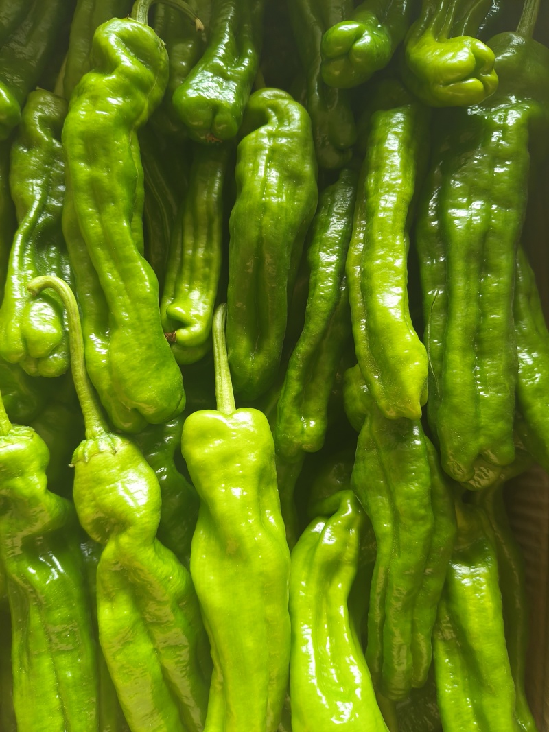 鲜辣椒