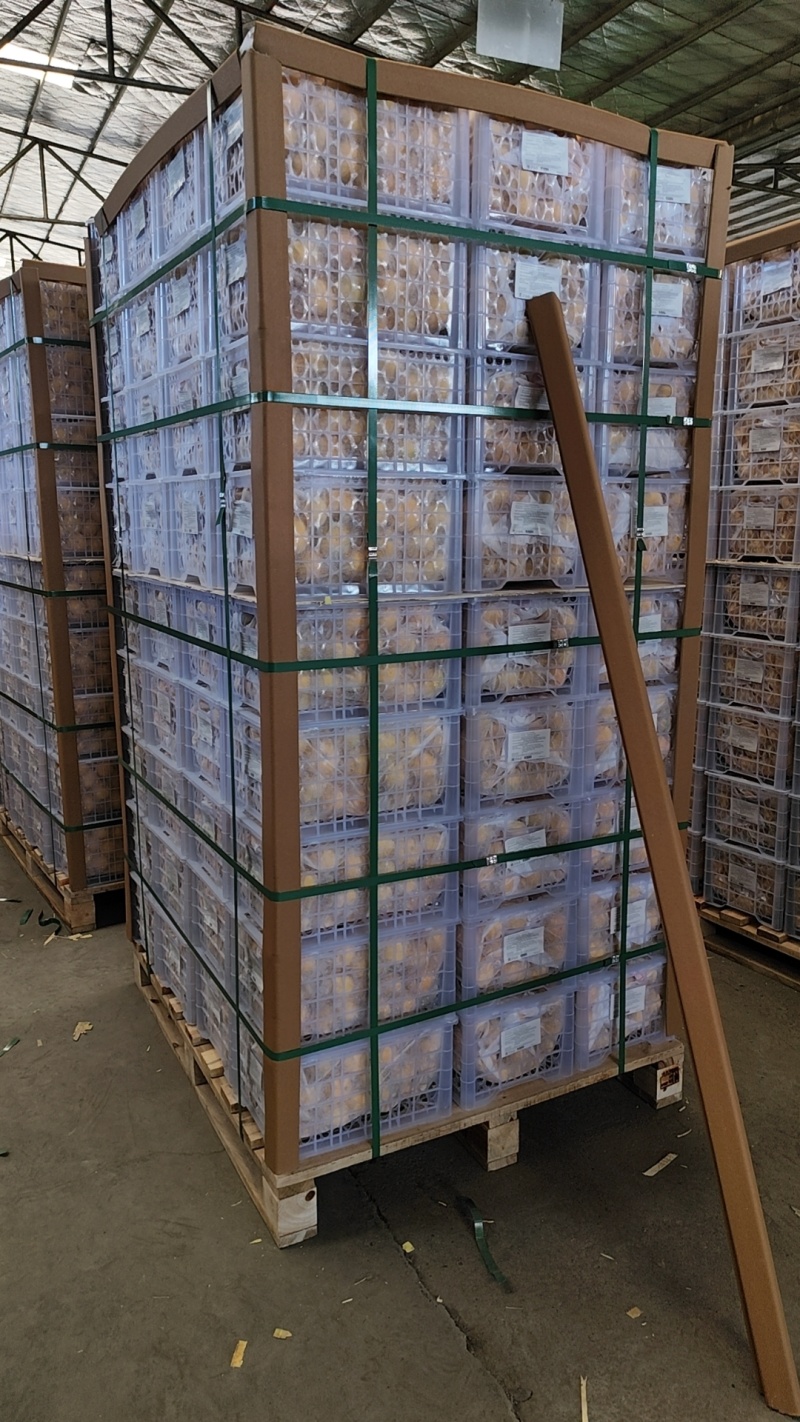 秭归纽荷尔长虹甜橙薄皮爆汁一手货源看园采果坏果包赔