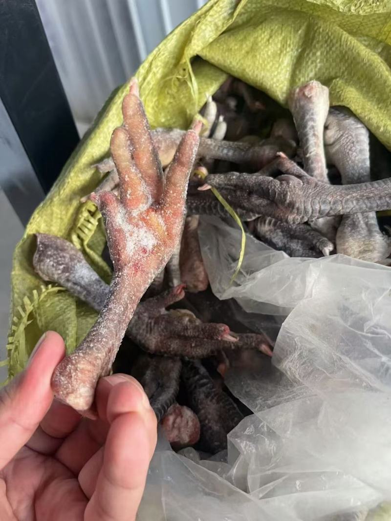 青脚土鸡爪，一级干货，厂家直发，规格齐全，价格**