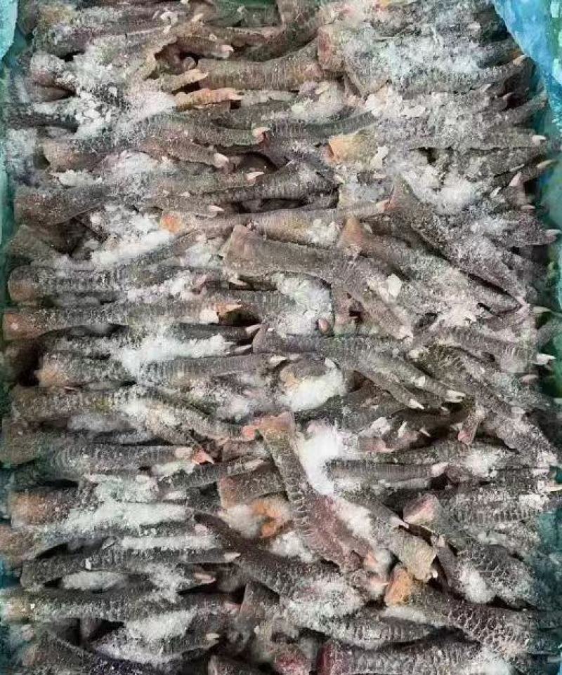 青脚土鸡爪，一级干货，厂家直发，规格齐全，价格**