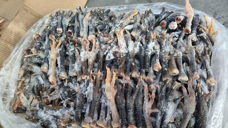 青脚土鸡爪，一级干货，厂家直发，规格齐全，价格**