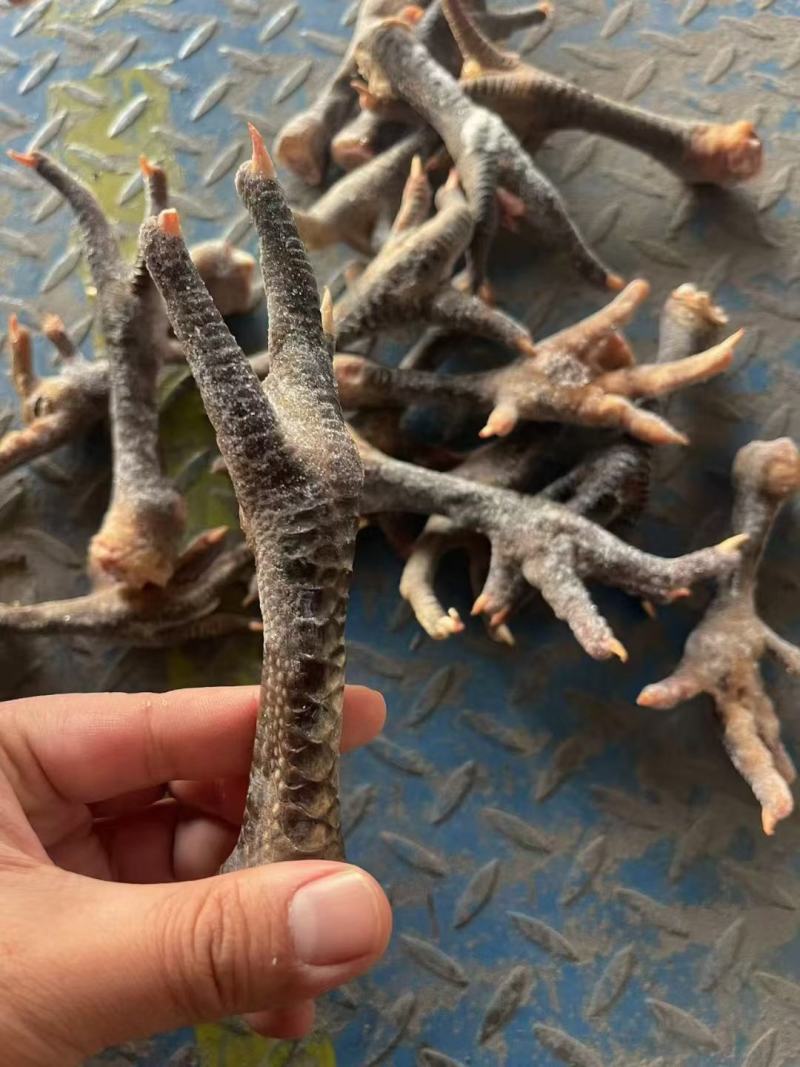 青脚土鸡爪，一级干货，厂家直发，规格齐全，价格**