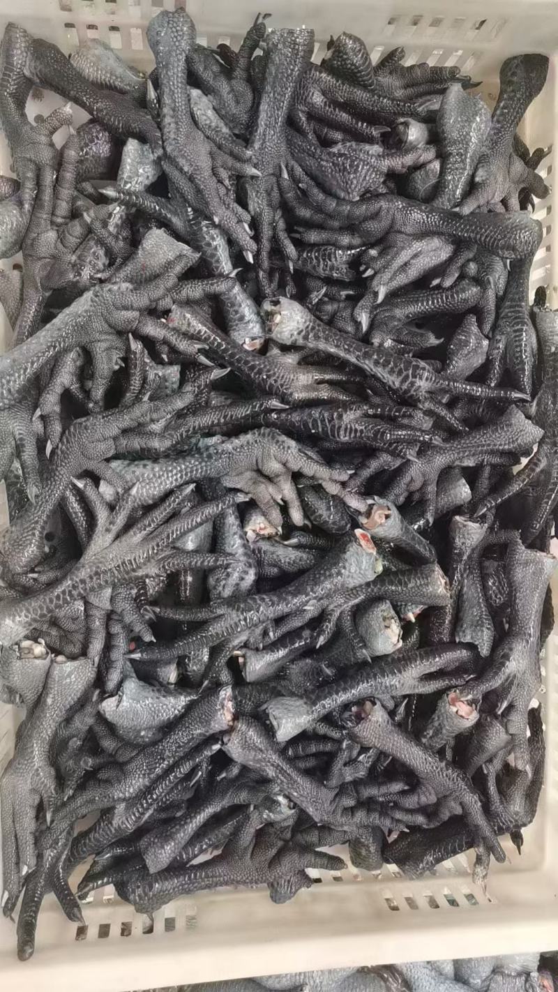 青脚土鸡爪，一级干货，厂家直发，规格齐全，价格**