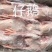仔鹅规格齐全全国发货量大从优欢迎采购