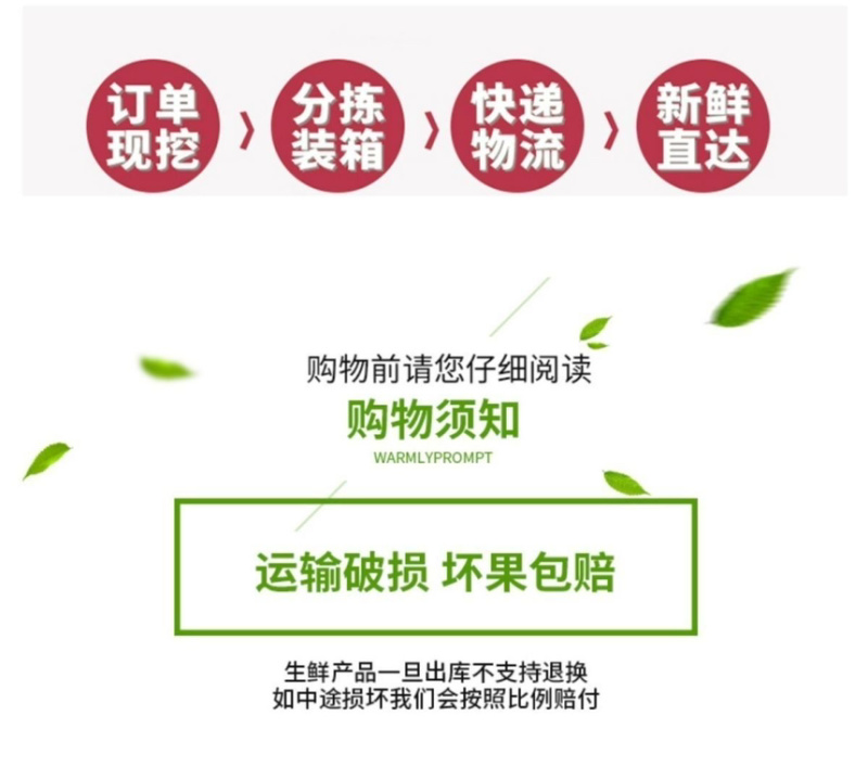 山西运城红薯粉糯白心沙地红薯地瓜新鲜老品种红皮白瓤