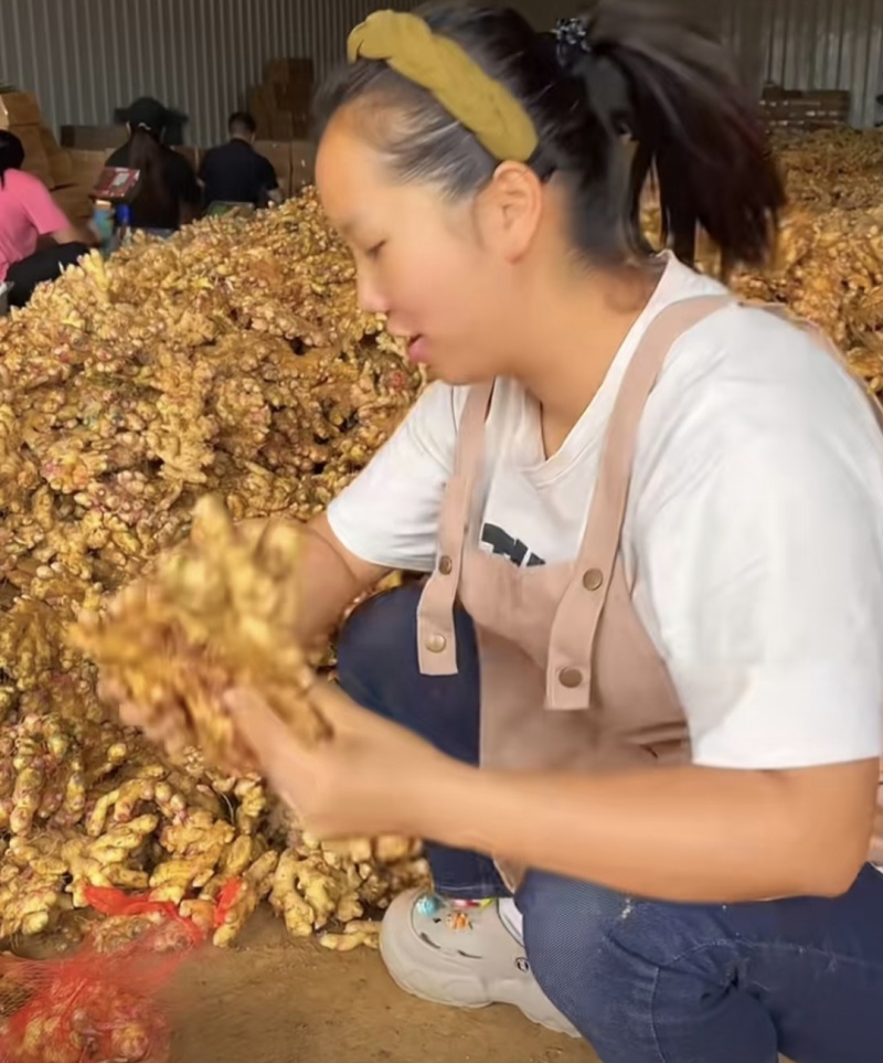 贵州小黄姜主营（电商，出口，加工厂，市场）坏烂包赔