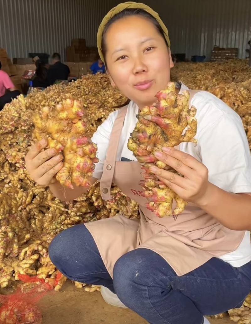 贵州小黄姜主营（电商，出口，加工厂，市场）坏烂包赔