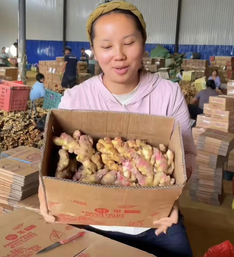贵州小黄姜主营（电商，出口，加工厂，市场）坏烂包赔