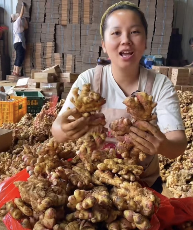贵州小黄姜主营（电商，出口，加工厂，市场）坏烂包赔