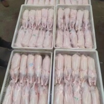 白条鸭，烤鸭专用规格齐全，工厂发货