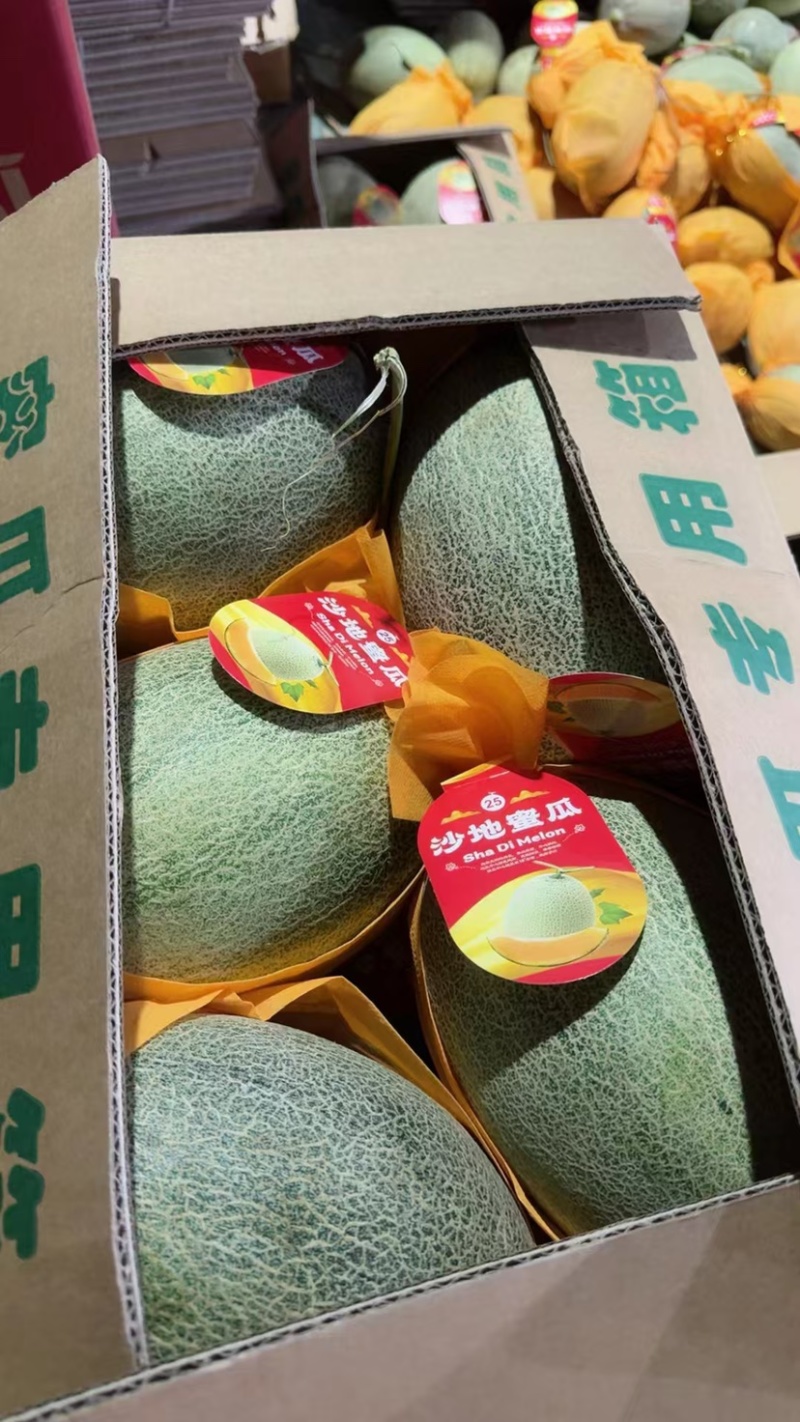 热卖哈密瓜晓蜜25皮薄肉多品质保障对接电商批发