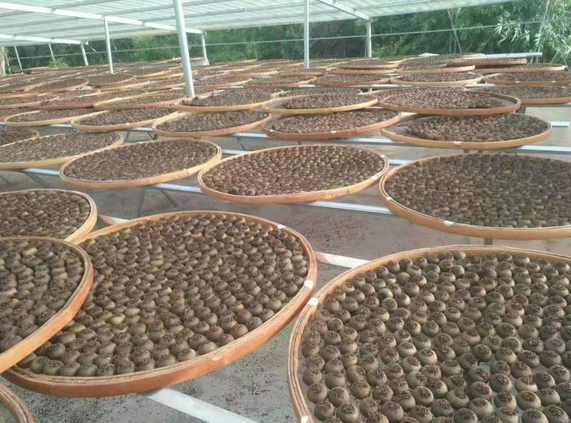 小青柑普洱茶云南宫廷熟普洱茶质量保证欢迎咨询